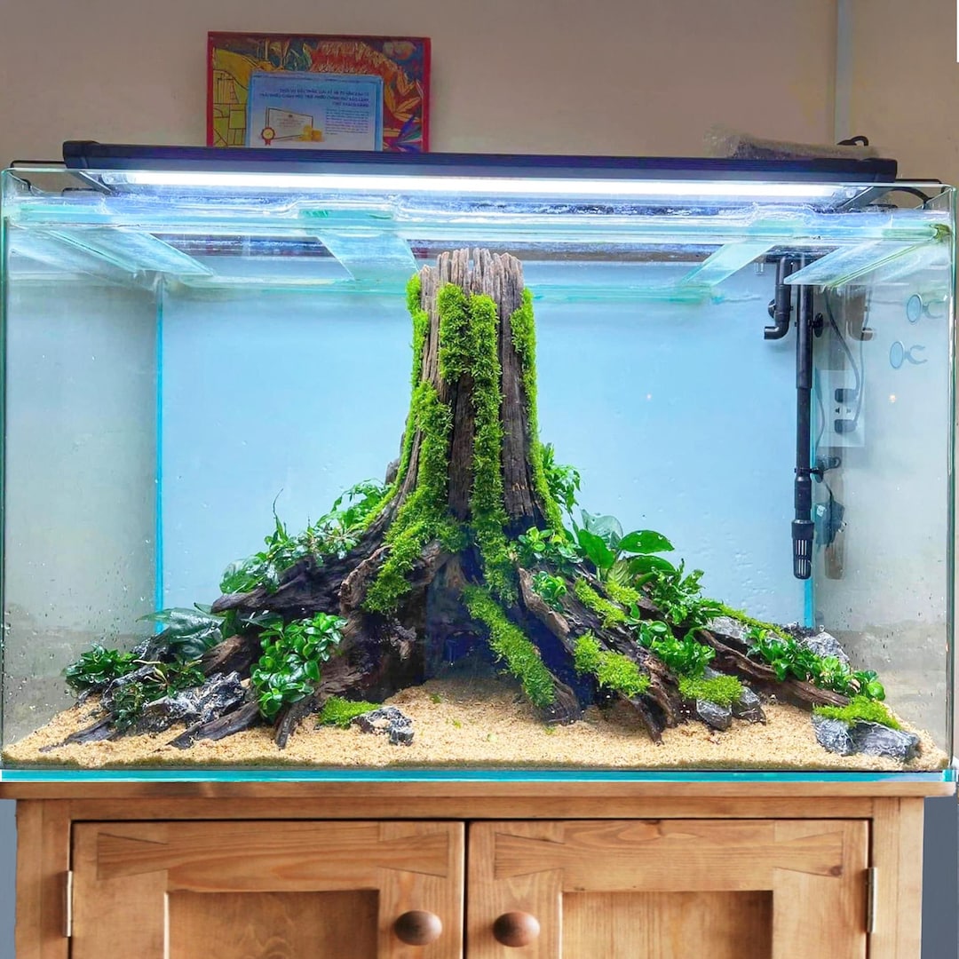 Aquarium Driftwood Stump Tree Aquascape Bonsai Wood Hardscape Plants ...