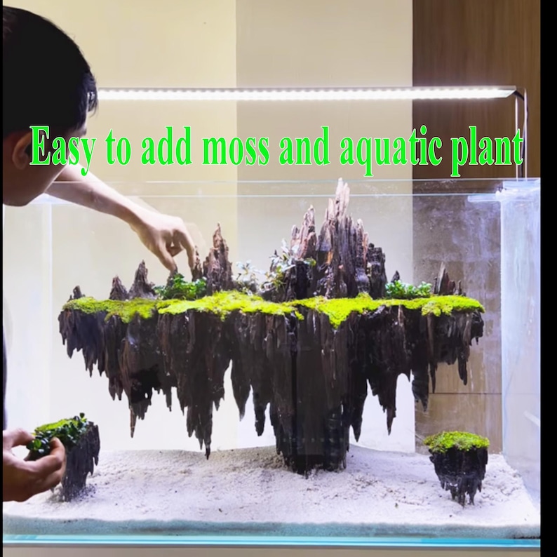 Aquarium Driftwood Aquascape Bonsai Wood Hardscapes Designs Fish Tank ...