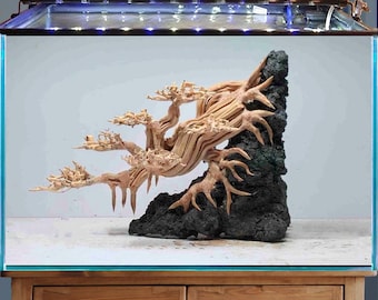 水槽用盆栽水景流木と古代石 - Etsy 日本