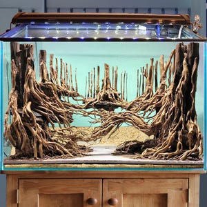 Driftwood aquarium aquascape bonsai aquascaping hardscape rocks real fish tank decor