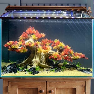 May include: An aquarium with a decorative tree featuring red and yellow foliage. The tank includes black rocks, green plants, and a sandy substrate. The aquarium sits on a wooden cabinet and has a light fixture.
