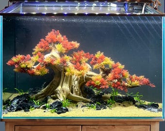 水槽用盆栽水景流木と古代石 - Etsy 日本