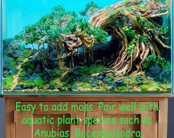 Aquarium Driftwood Aquascape Bonsai Drift Wood Tree Aquascaping