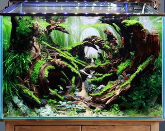 Cueva de acuario hecha a mano con roca de madera flotante, diseño de paisaje acuático natural para tanques plantados.