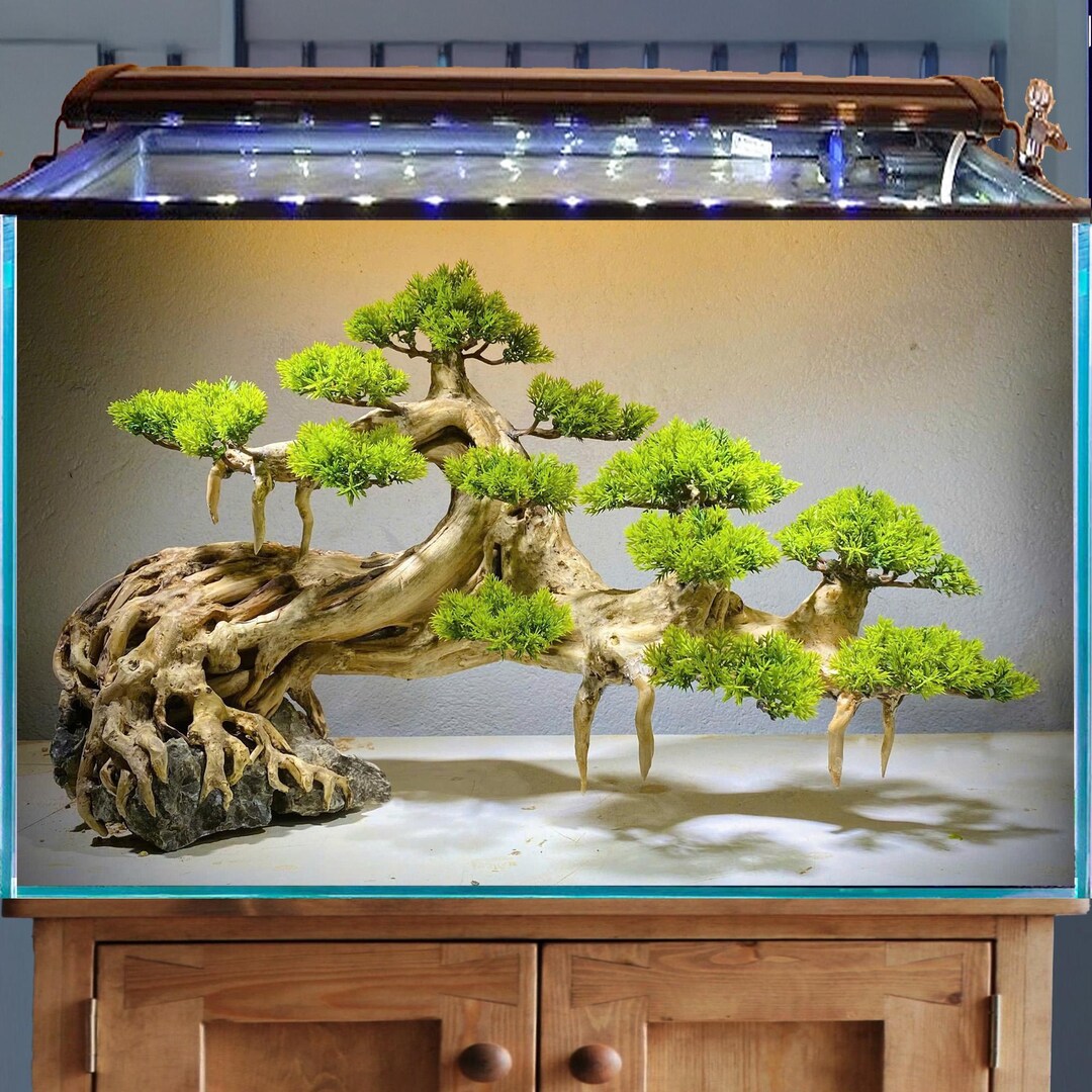 Aquascape Aquarium Driftwood Bonsai Hardscape Wood Aquatic Plant Fish ...