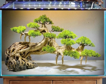 Puede incluir: Un acuario con una decoración de árbol bonsái. El árbol tiene un tronco de madera natural y follaje verde brillante. El acuario está sobre un mueble de madera y tiene una lámpara en la parte superior.