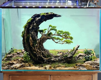 水槽用流木 大きめ 立体的な樹木 流木水槽盆栽木植物木製アクアスケープアクアスケープ盆栽流木水槽装飾