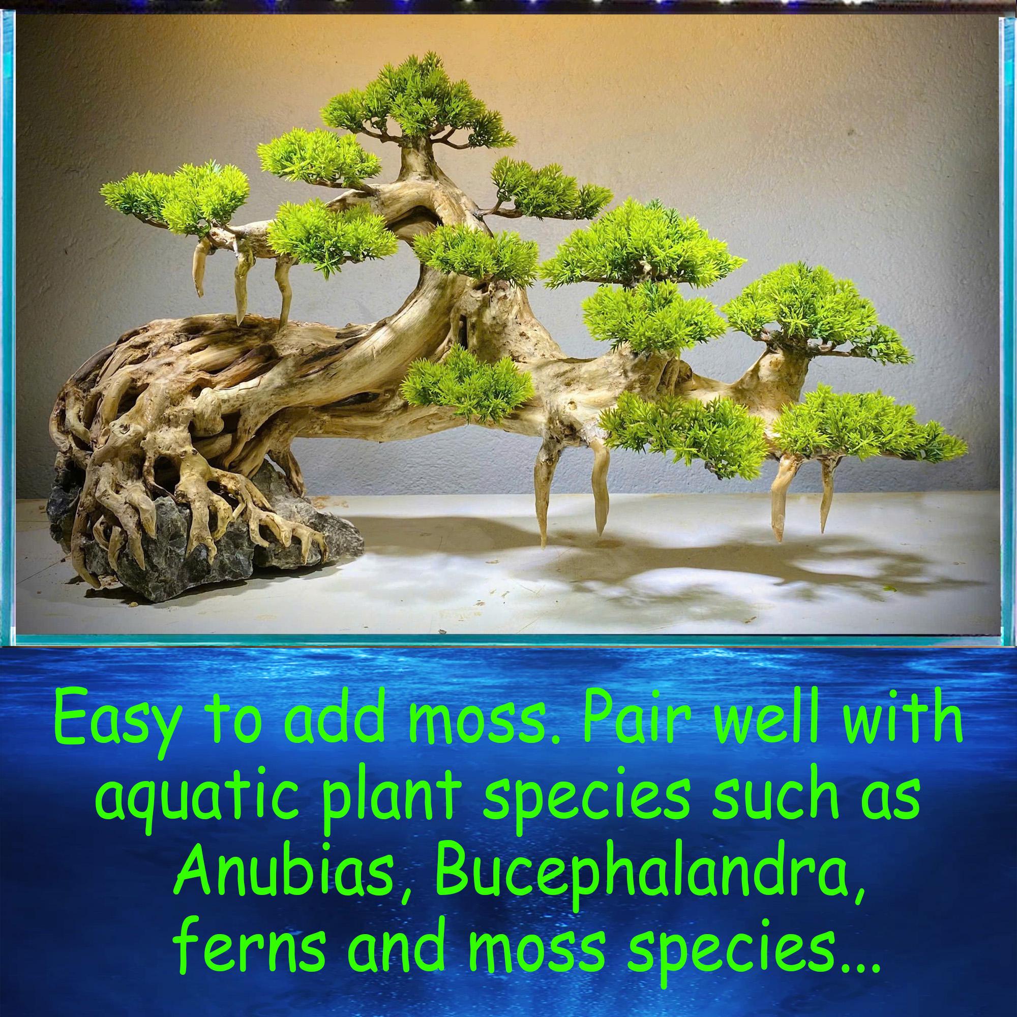 Aquascape Aquarium Driftwood Bonsai Hardscape Wood Aquatic Plant Fish ...