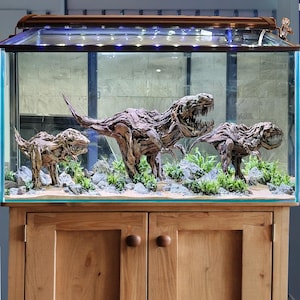 dinosaur fish tank accessories 2Pcs Aquarium Decoration Skull Skeleton Cave Pet Reptile bringing a touch of wonder and chaos to your underwater world Opinions on this?. this nice