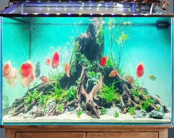 アクアスケープ水槽用流木大型盆栽アクアスケープ装飾ハードスケープ
