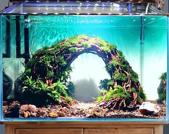 水槽流木 特大アクアスケープ ハードスケープ アクアスケープ 石造り