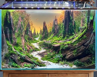 アクアスケープ 水槽 流木 【送料無料】水景盆栽 流木 100-150