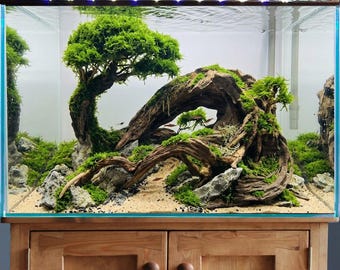 Árbol de bonsái natural de madera flotante para acuario, decoración de paisajismo acuático hecha a mano.