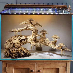 May include: A large aquarium with a detailed bonsai tree sculpture inside. The sculpture is made of light-colored wood, resembling a miniature tree with intricate branches and foliage. The aquarium sits on a wooden cabinet.