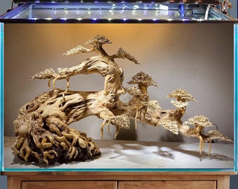 Bois flotté aquarium bonsaï aquascape bois hardscape plantes aquarium décor cadeau d'anniversaire unique