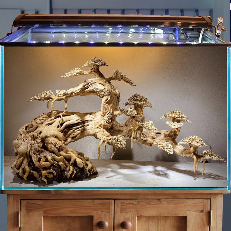 Driftwood Aquarium Bonsai Aquascape Wood Hardscape Plants Fish Tank