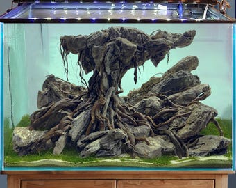 Legno Per Pesci Decorazione Legno Driftwood Per Acquario - 1 Pezzo - Foto 5