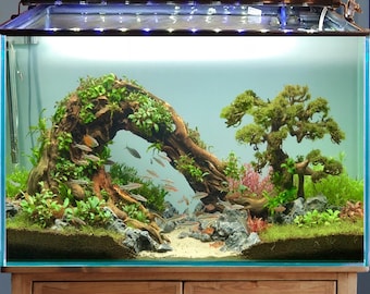 Bonsai aquarium driftwood large aquascape wood hardscape plants beta fish tank decor art