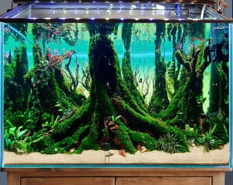 Aquascape driftwood aquarium wood hardscape bonsai aquascaping stone fish tank decoration