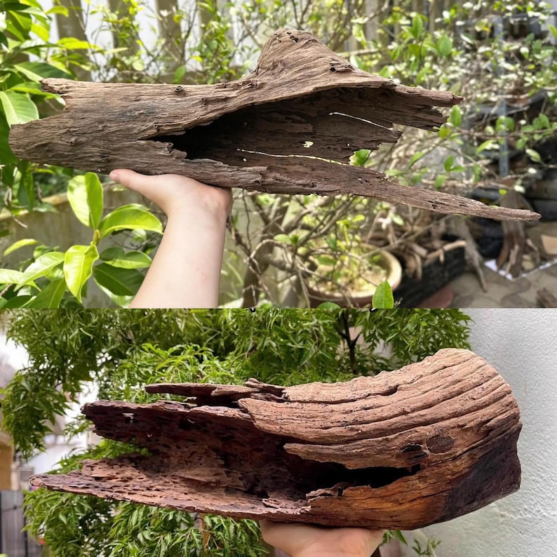 Tronco di legno per acquario, decorazione in legno naturale per acquario. immagine 5