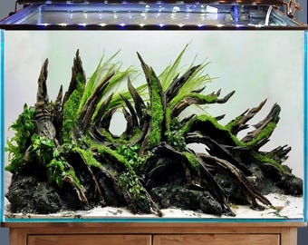 Aquarium driftwood rock cave aquascape bonsai aquascaping hardscape fish tank decor