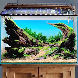 Aquarium driftwood natural reptile drift wood stump bonsai aquascaping hardscape real wood for fish tank for home decor