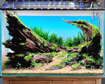 水槽用流木 アクアリウムレイアウト。水槽用流木 。水槽用レイアウト 盆栽流木 水槽用流木 水生植物。流木 アクアリウム 。盆栽流木水槽用流木 レイアウト