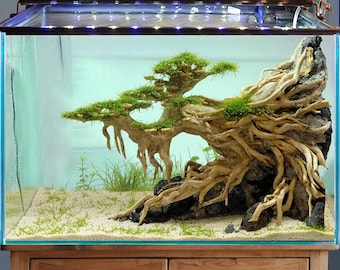 Bonsai driftwood aquarium decor with natural rocks handcrafted aquascape hardscape for fish tank landscape