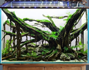 盆栽流木水槽洞窟水景流木水槽装飾魚小屋付き - Etsy 日本