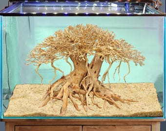 アクアスケープ盆栽流木水槽樹木植物アクアスケープセンターピース流木