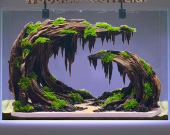 May include: A curved piece of driftwood with moss growing on it, creating a cave-like structure. The driftwood is placed in a clear glass aquarium with a white base. The aquarium is lit from above with two lights.