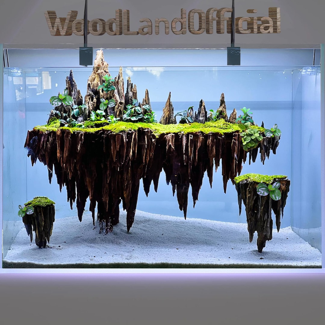 Aquarium Driftwood Aquascape Bonsai Wood Hardscapes Designs Fish Tank ...