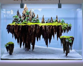 Aquarium driftwood aquascape bonsai wood hardscapes designs fish tank decorations