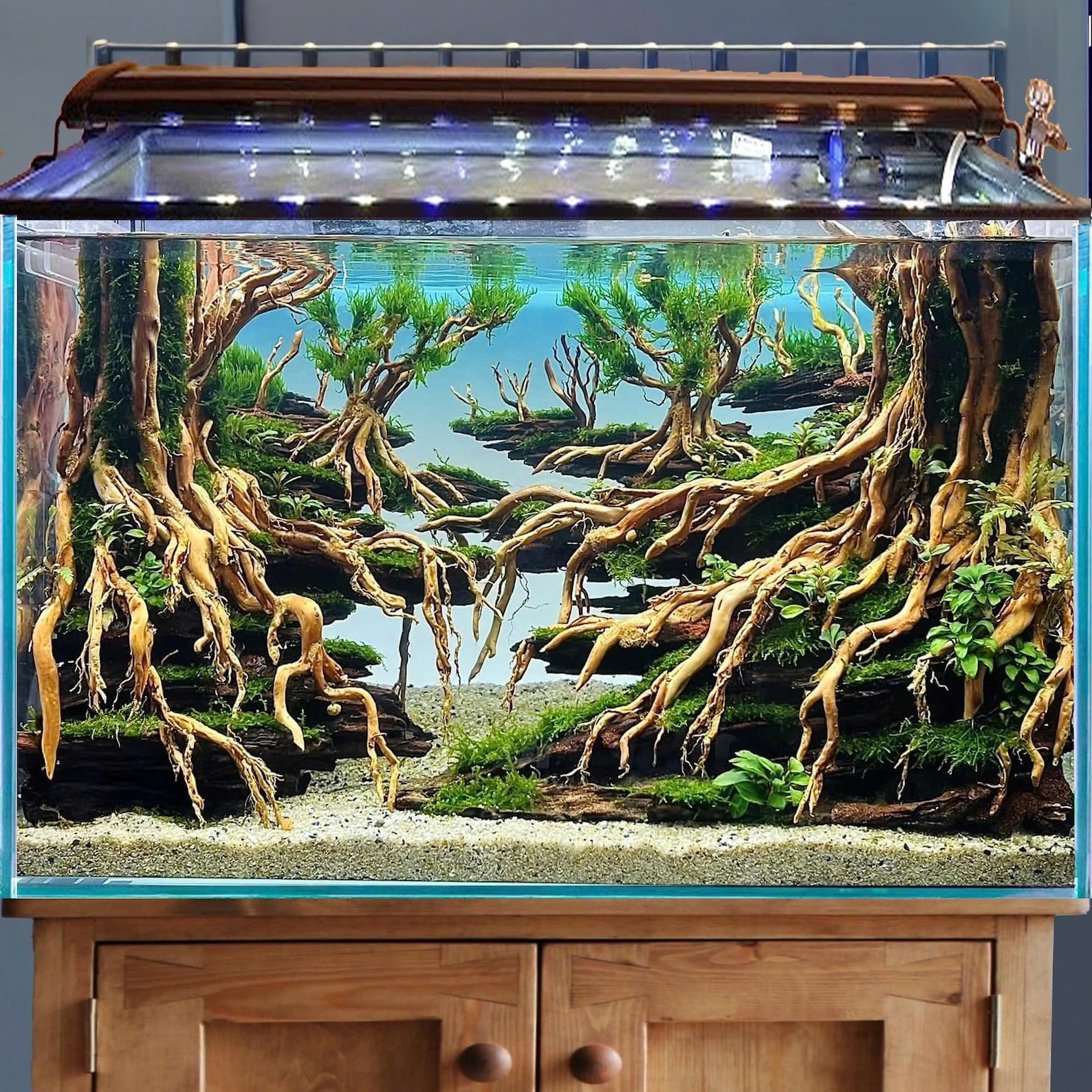 Aquarium Hardscape Aquascape Driftwood Bonsai Aquascaping Fish Tank ...