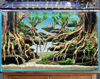 Aquarium hardscape aquascape driftwood bonsai aquascaping fish tank decor