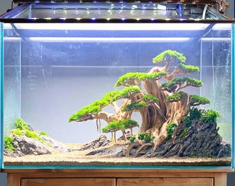 Aquascape aquarium driftwood bonsai hardscape wood aquatic fish tank decorations