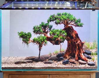 水槽の流木、切り株、盆栽、水景、木製水槽の装飾 - Etsy 日本