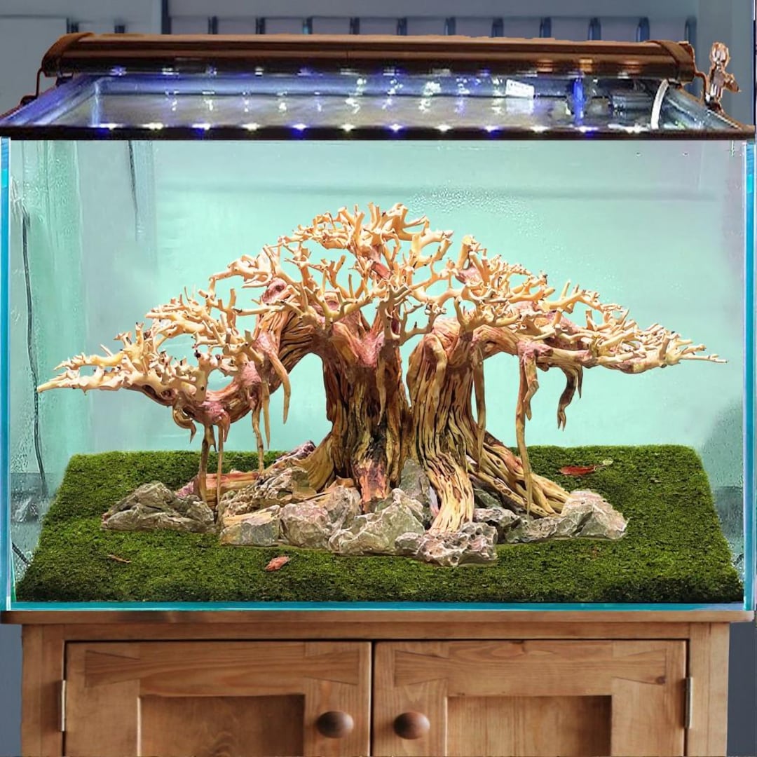 Driftwood Bonsai Tree Aquarium Aquascape Hardscape Aquatic Plants ...