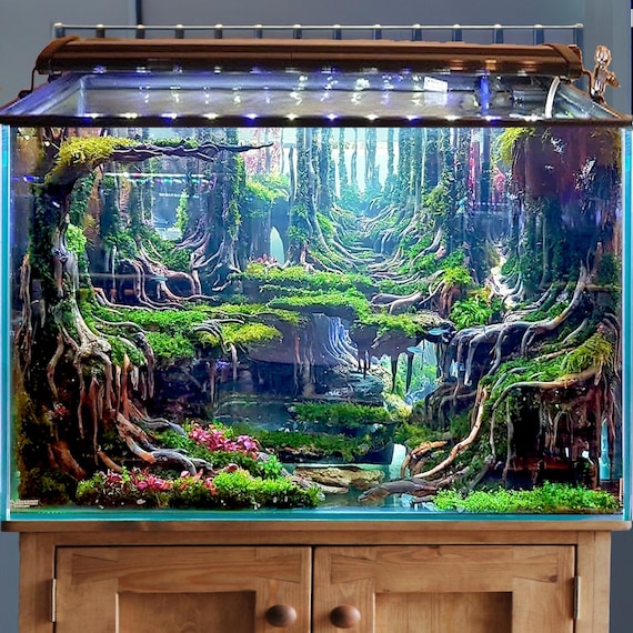 水槽用水景、流木、ハードスケープ、天然木、洞窟、水槽、隠れ家、水景