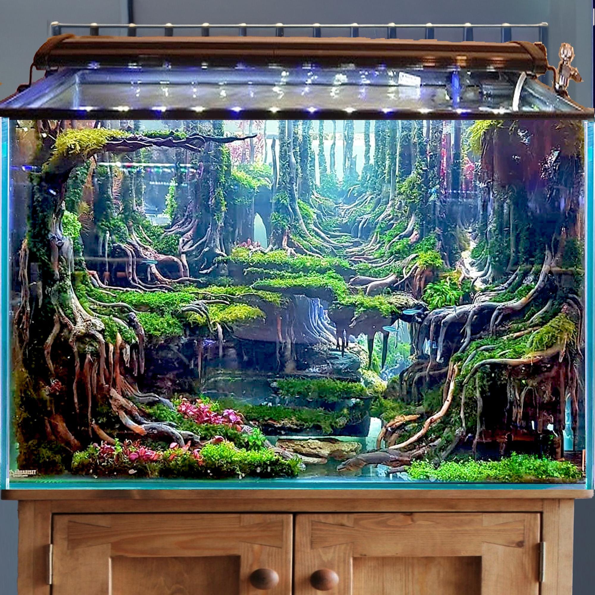 Aquarium Aquascape Driftwood Hardscape Natural Wood Cave Fish Tank