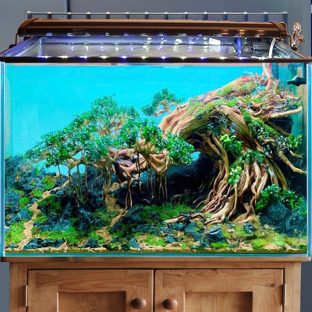 Aquarium Driftwood Aquascape Bonsai Drift Wood Tree Aquascaping for ...
