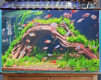 Aquarium driftwood stump natural aquascape drift wood branch hardscape real fish tank decor