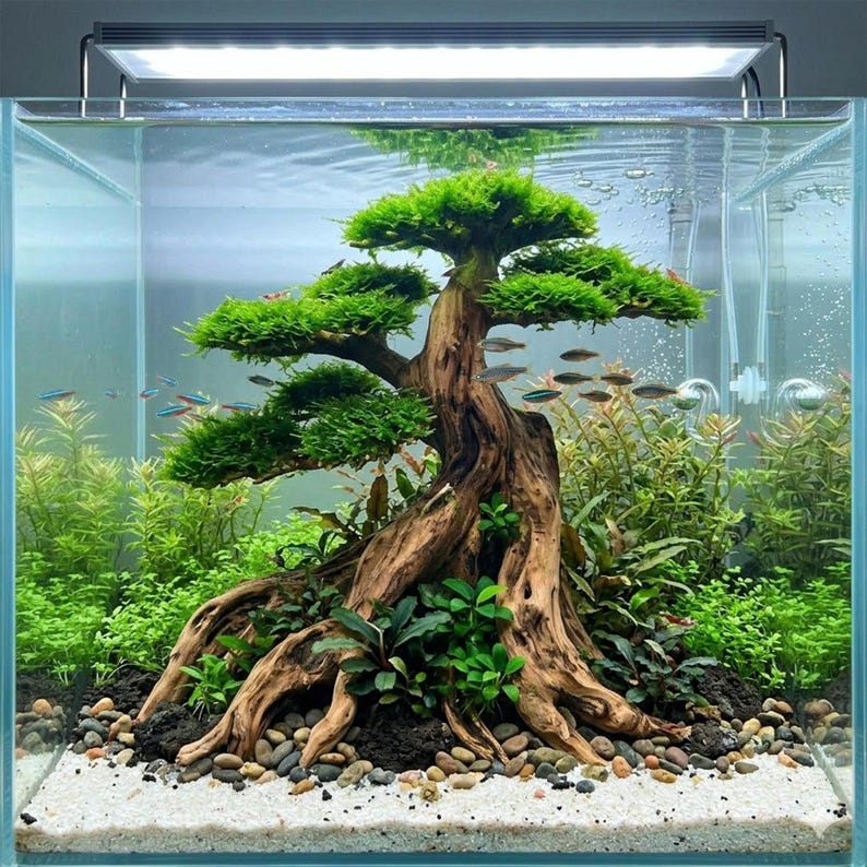 Bonsai Driftwood Aquarium Tree Aquascape Handcraft Hardscape Fish Tank ...