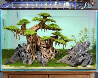流木水槽盆栽木植物木製アクアスケープアクアスケープ盆栽流木水槽装飾