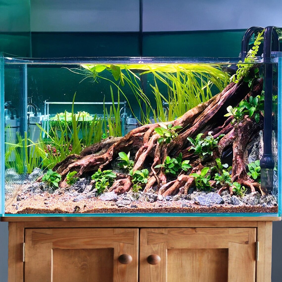 Aquascape Aquarium Driftwood Stump Bonsai Aquascaping Rocks Hardscape ...