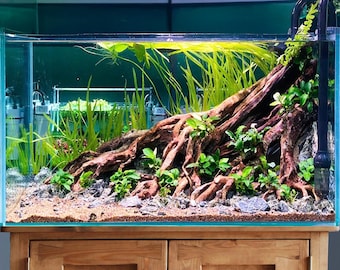 Aquascape aquarium driftwood stump bonsai aquascaping rocks hardscape root trees real fish tank decorations