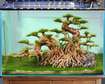 水槽用盆栽水景流木と古代石 - Etsy 日本