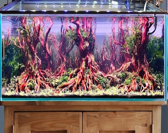Aquarium driftwood large aquascape manzanita drift wood hardscape bonsai real fish tank decor