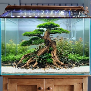 fish aquarium accessories online india India Aquarium Decorations Online ⚡️Buy Maxbell Aquarium Decoration Fish  Tank Accessories Fish