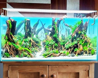 Bonsái de madera flotante para paisajismo acuático, paisajismo acuático, paisaje duro, piedra para acuario, decoración de pecera real